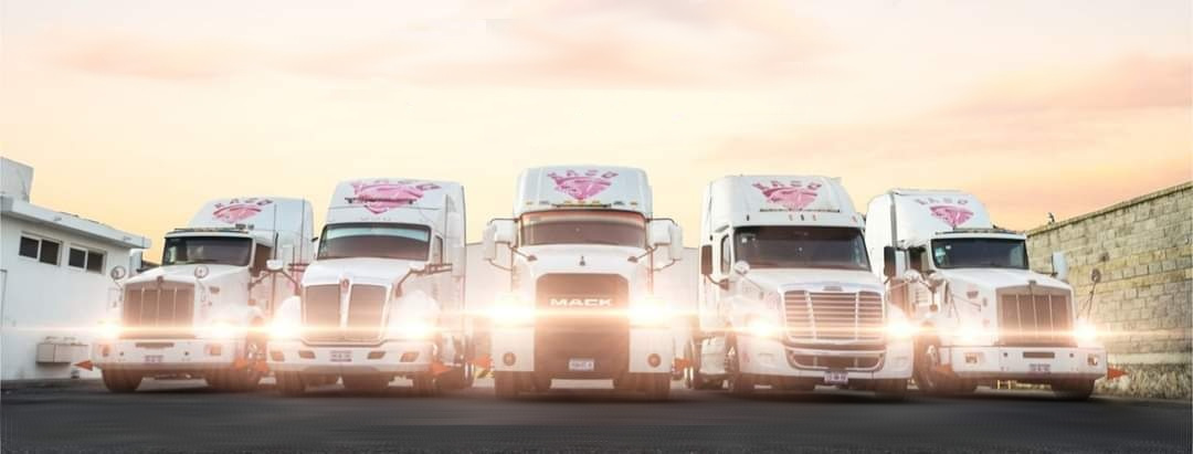 Flota de transporte KASU en Puerto Lázaro Cárdenas, Michoacán